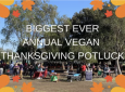 Vegan Picnic Potluck on Thanksgiving Day